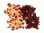 Набор цветов Гардении, бордовые и сливочно бордовые, d7см, 4шт. SCB290210 SCB290210