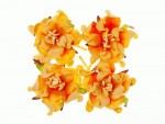 Набор цветов Гардении, сливочно-оранжевые, d5см, 4шт. SCB290107 SCB290107