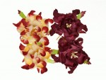 Набір квітів Гарденії, бордові і вершково-бордові, d5см, 4шт. SCB290110 SCB290110