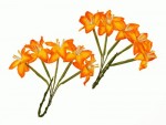 Набір квітів Лілії на стеблі, жовто-помаранчеві, 10шт. SCB290405 SCB290405