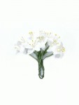 Набір квітів Лілії на стеблі, білі, 10шт. SCB290401 SCB290401