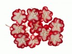 Квіти вишні з шовковичного паперу, червоний з білим, d25мм, 10шт. SCB300206 SCB300206