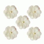 Набір подвійних квітів Братки, білий, d35мм, 4шт. SCB300406 SCB300406