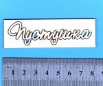 Чипборд 'Пустушка', 25х80мм SL-114 SL-114