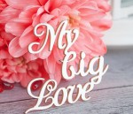 Чипборд 'My Big Love' 50х33мм Hi-233 Hi-233