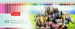 Набор цветных карандашей Wild Animals. 45шт. металлическая коробка, Bruynzeel 5012M45