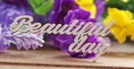 Чипборд 'Beautiful day' 35х75мм SL-423 SL-423