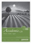 Склейка для рисунка Accademia А4 (21х29,7), 120г/м2, 50л., бумага Fabriano, GAMMA