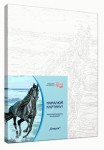 Набор для рисования, акриловый живопись по номерам 'Энергия', 35*45см 