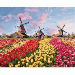 Набір акриловий живопис за номерами 'Барвисті тюльпани Голандії' 40*50см 