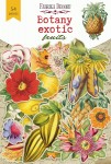 Набір паперових висічок для скрапбукінгу 'Botany exotic fruits' 54шт. FDSDC-04108-01 FDSDC-04108-01