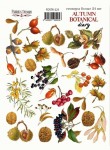 Набір наклейок (стікери) 'Autumn botanical diary', 21*16см, FDSTK-225 FDSTK-225