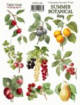 Набір наклейок (стікери) 'Summer botanical diary', 21*16см, FDSTK-188 FDSTK-188