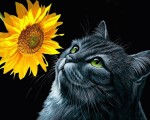 Алмазна мозаїка ’Кіт та соняшник’, 40*50см, з підрамником, 954450, Santi 954450